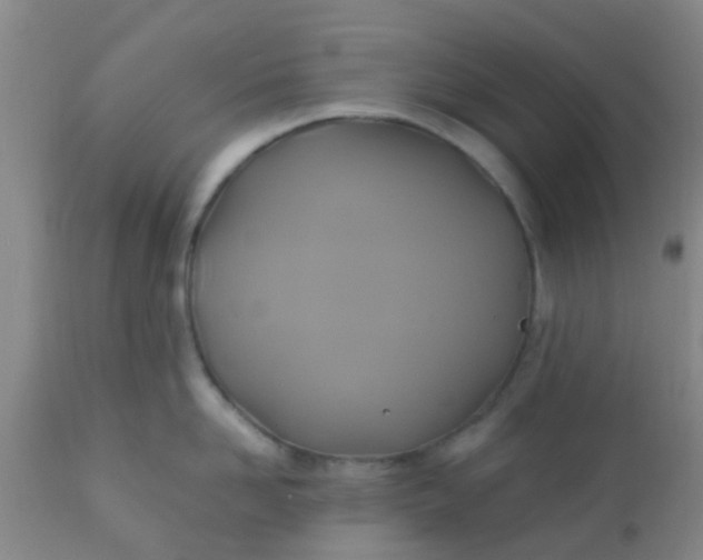 X0000110970958200907022241