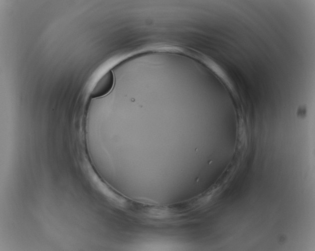 X0000110970959200907022241