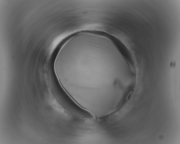 X0000110970960200907022241