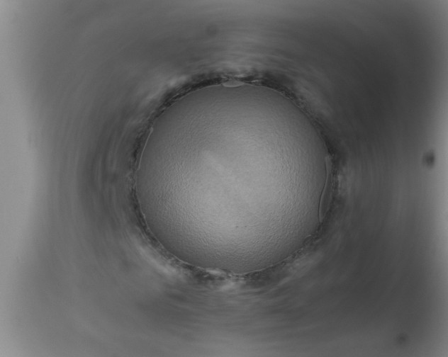 X0000110970961200907022241