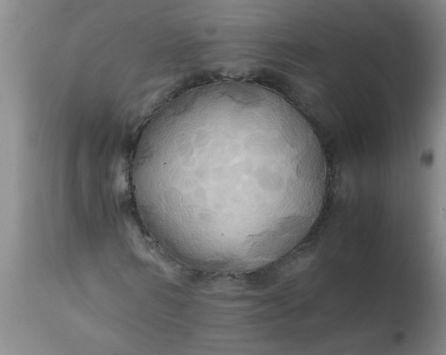 X0000110970962200907022241