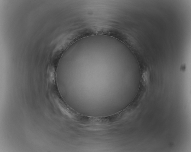 X0000110970963200907022241