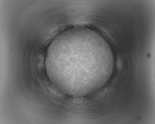 X0000110970964200907022241