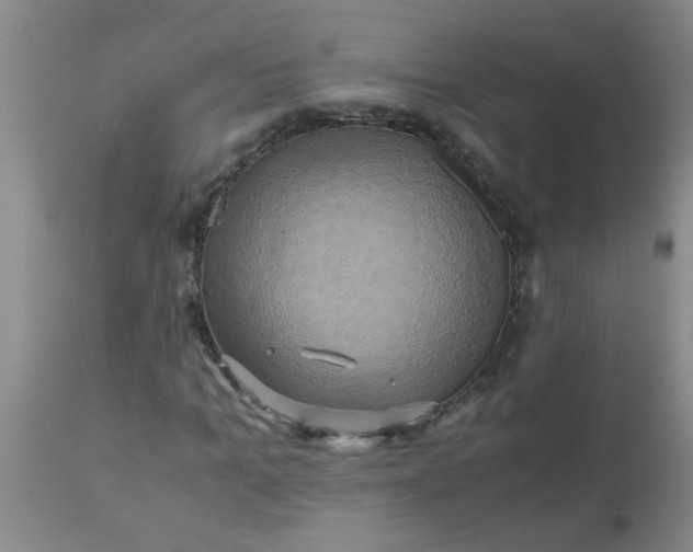 X0000110970965200907022241