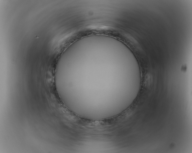 X0000110970966200907022241