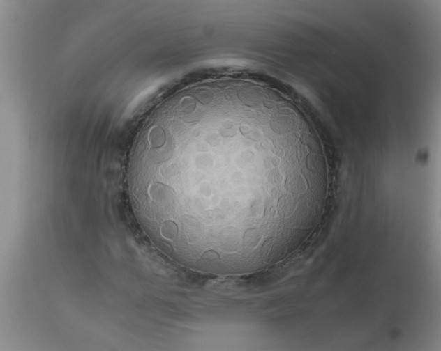 X0000110970967200907022241