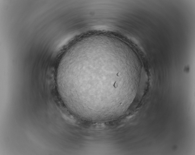 X0000110970968200907022241