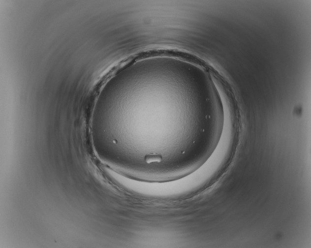 X0000110970969200907022241