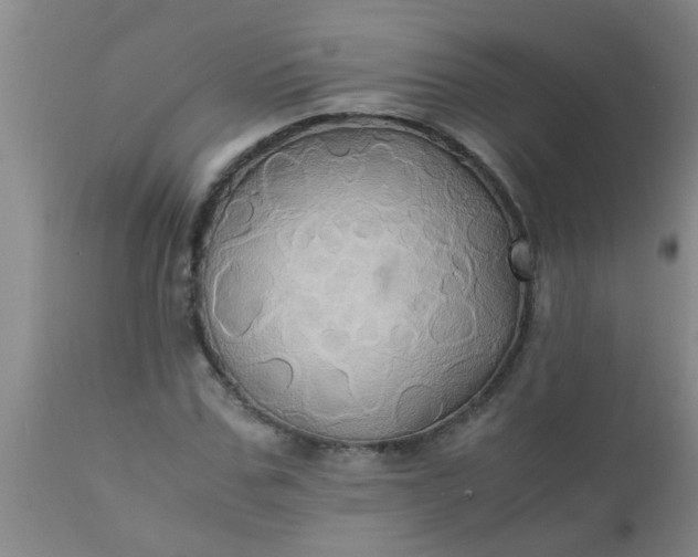 X0000110970971200907022241