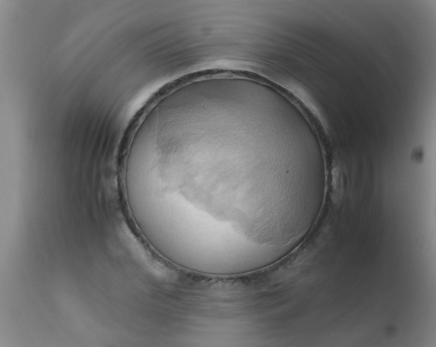 X0000110970972200907022241