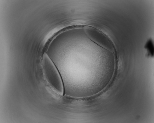 X0000110970973200907022241