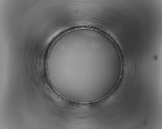 X0000110970975200907022241