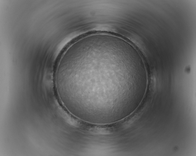 X0000110970976200907022241