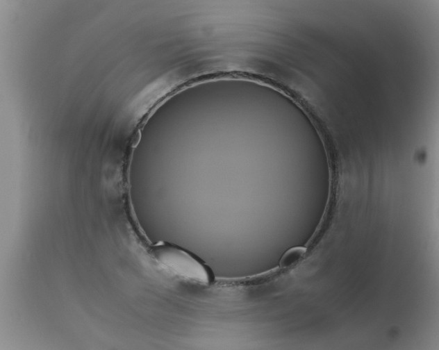 X0000110970977200907022241