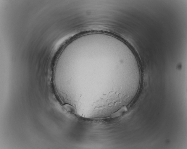 X0000110970979200907022241