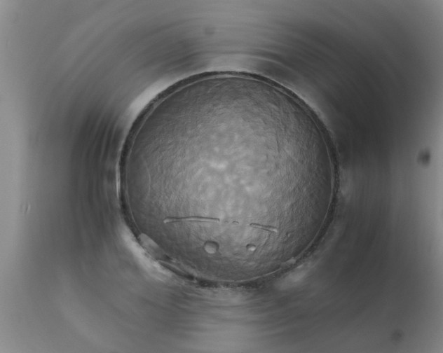 X0000110970980200907022241