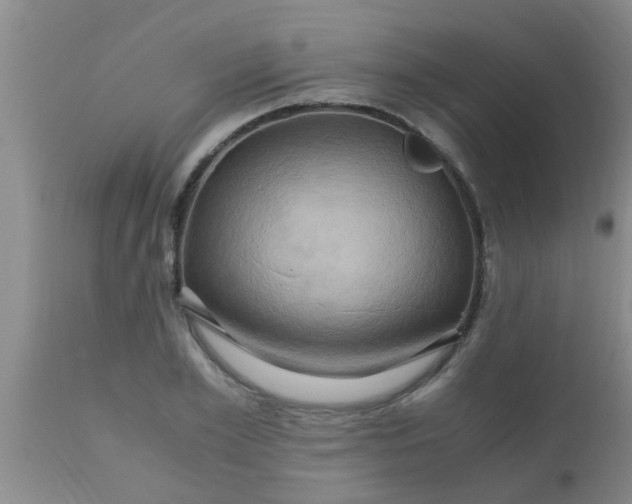 X0000110970981200907022241