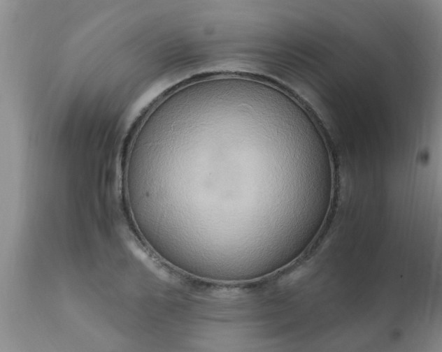 X0000110970982200907022241