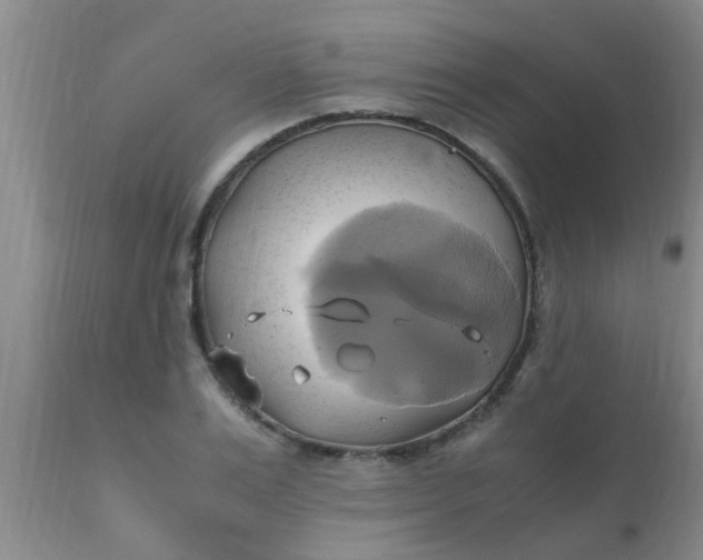 X0000110970983200907022241