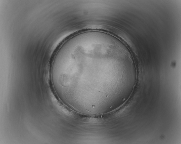 X0000110970984200907022241