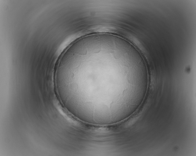 X0000110970986200907022240