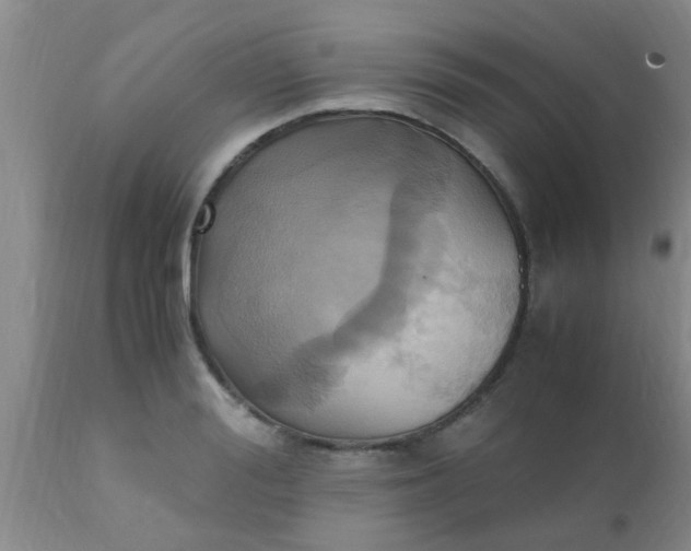 X0000110970988200907022240