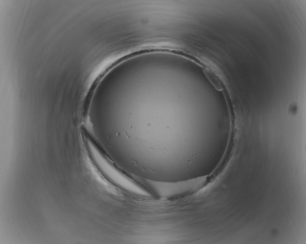 X0000110970989200907022240