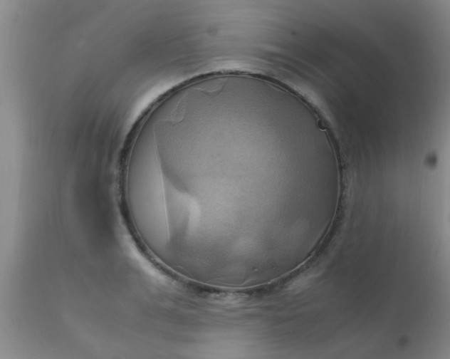 X0000110970991200907022240