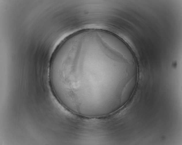 X0000110970992200907022240