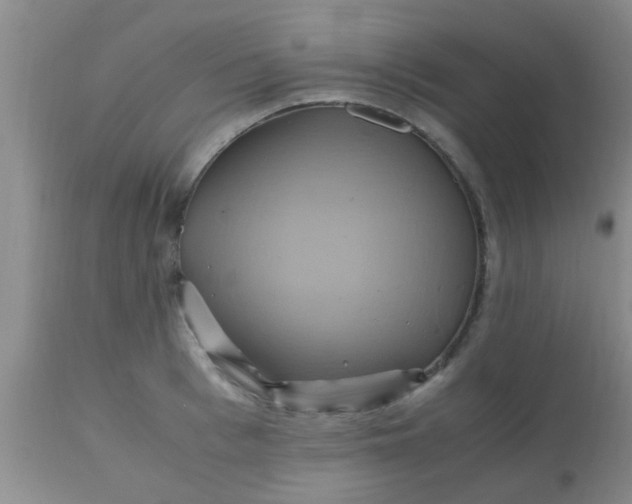 X0000110970993200907022240