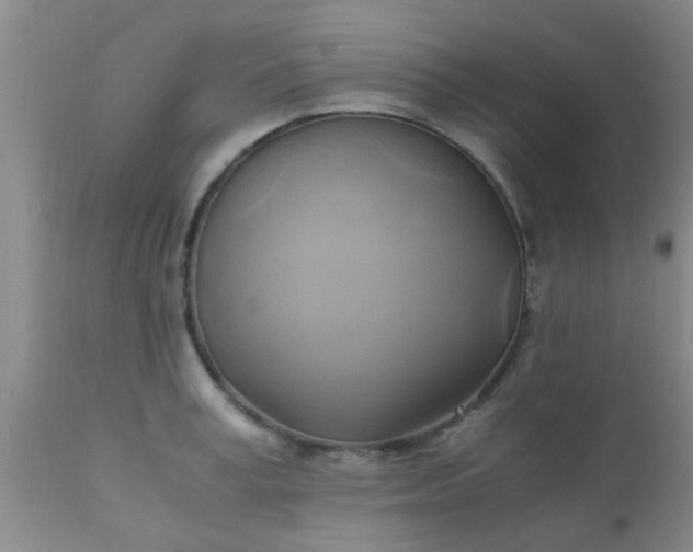 X0000110970995200907022240