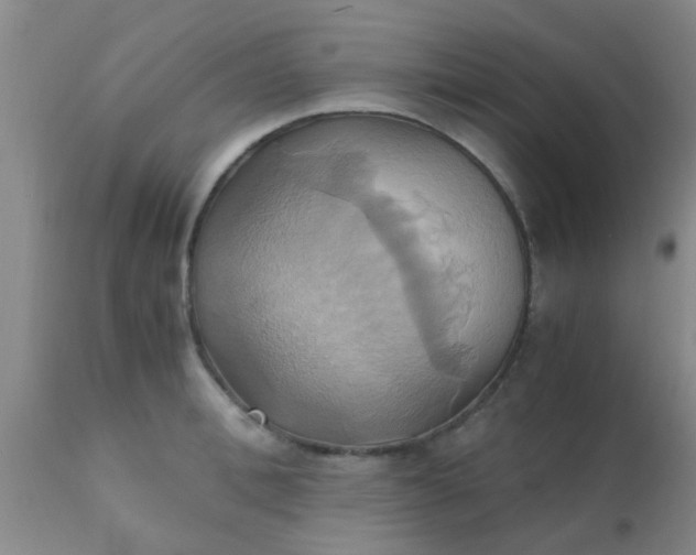 X0000110970996200907022240