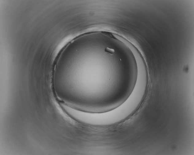 X0000110970997200907022240