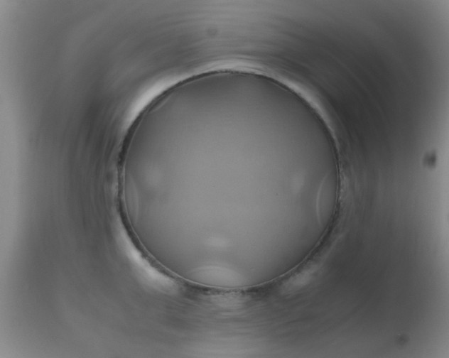 X0000110970999200907022240