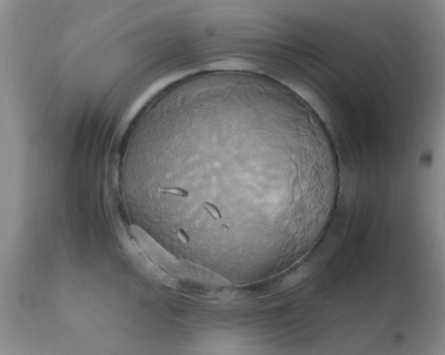 X0000110971000200907022240