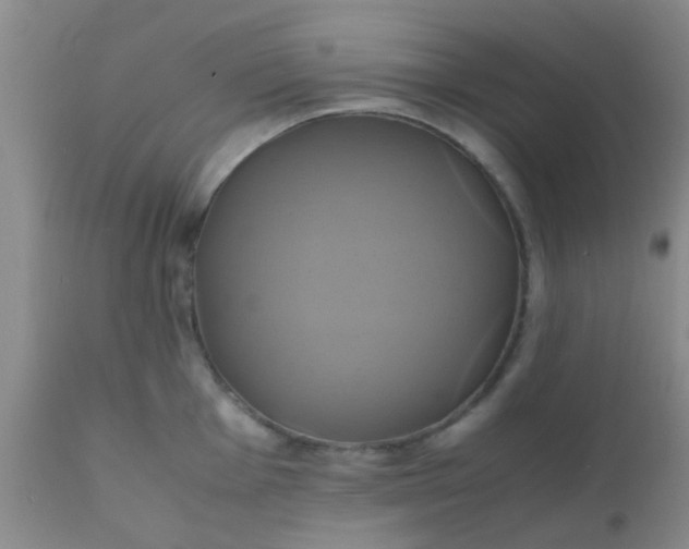 X0000110971001200907022240