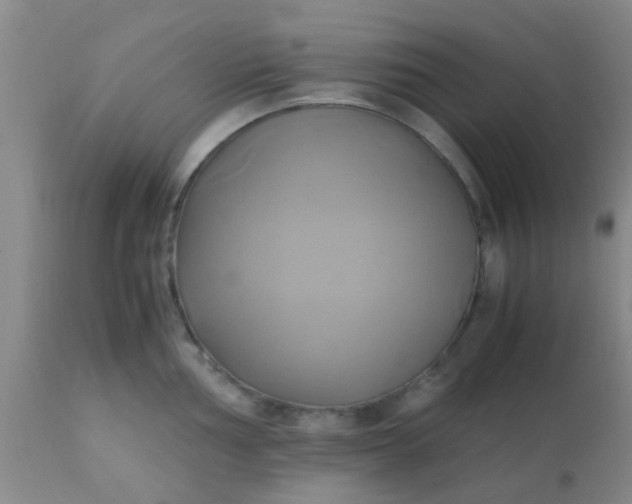 X0000110971002200907022240