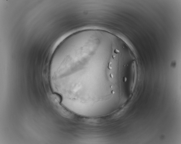 X0000110971004200907022240