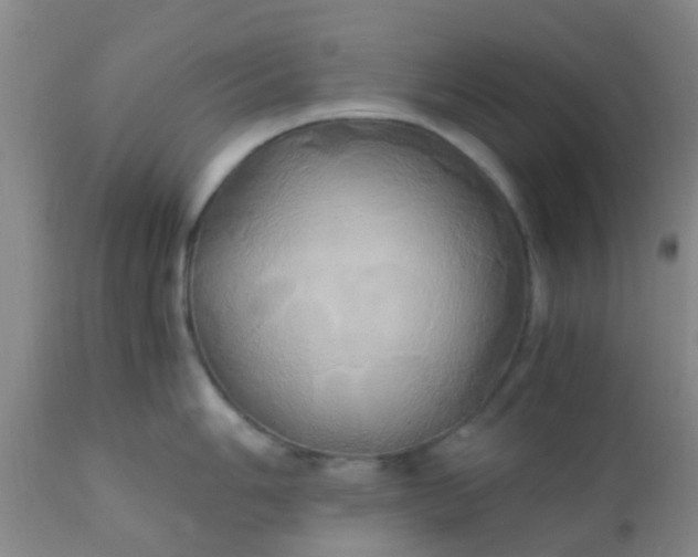 X0000110971006200907022240