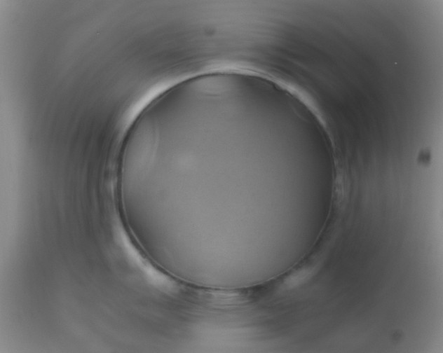 X0000110971007200907022240