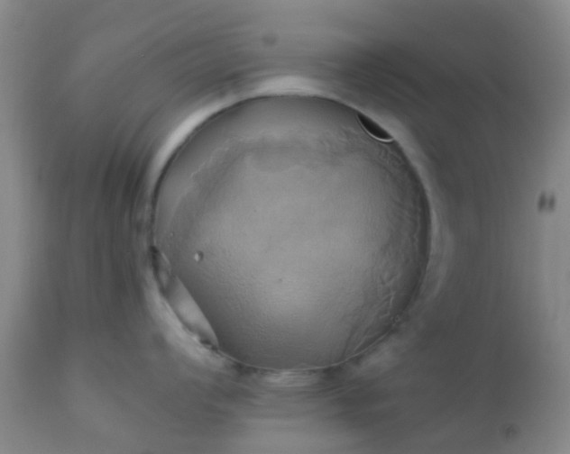 X0000110971008200907022240