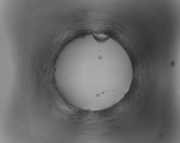 X0000110971009200907022239