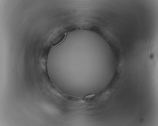 X0000110971010200907022239