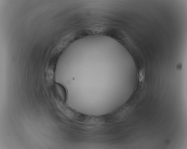 X0000110971011200907022239