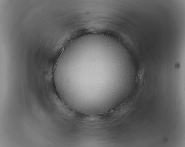 X0000110971012200907022240