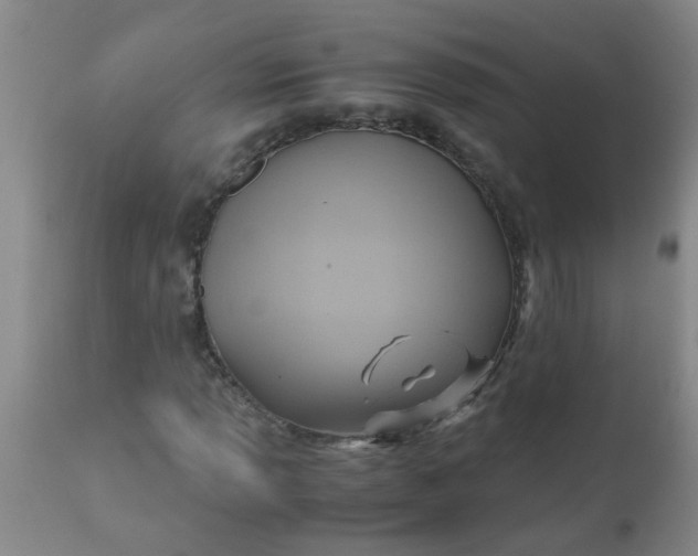 X0000110971013200907022240