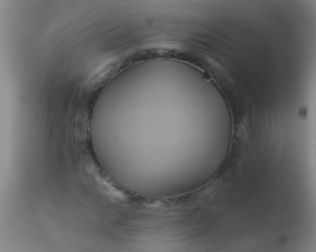 X0000110971014200907022240