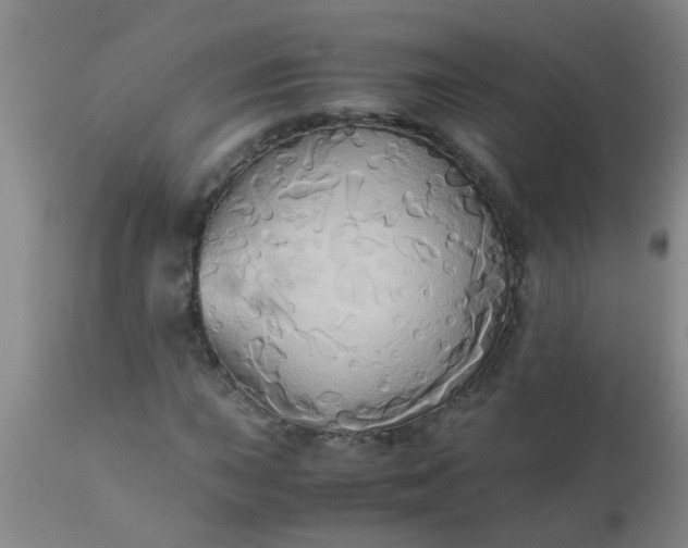 X0000110971015200907022240