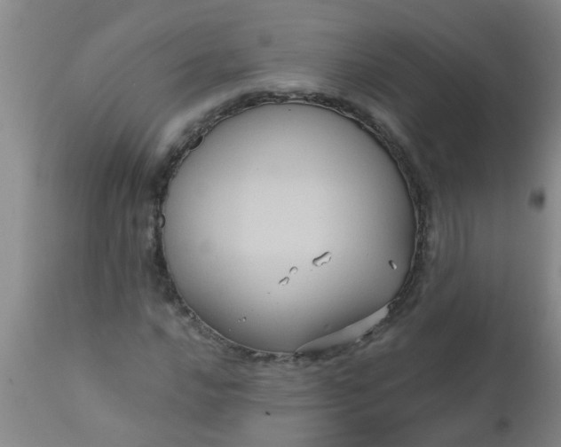 X0000110971016200907022240