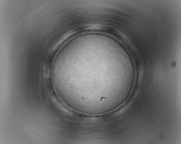 X0000110971017200907022240